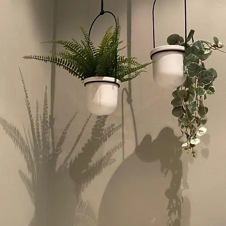 Fr(Ee)Da Appartement Bologna Buitenkant foto